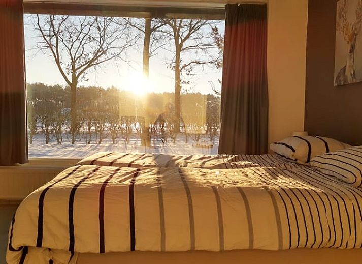 Ferienhaus in Soerendonk, umgeben von Herbstlaub in Kempen, Nordbrabant.