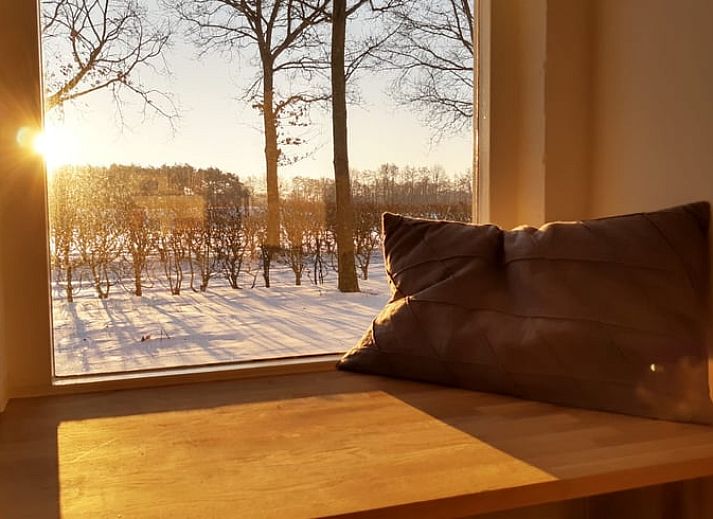 Ferienhaus in Soerendonk, umgeben von Herbstlaub in Kempen, Nordbrabant.