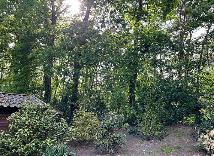 Verblijf 412708 - Vakantiewoning Kempen - Huisje in Luyksgestel