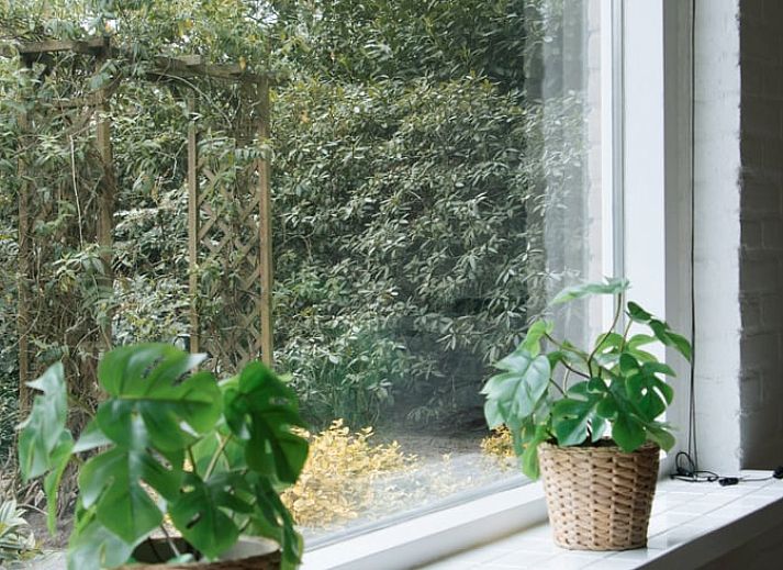 Verblijf 412708 - Vakantiewoning Kempen - Huisje in Luyksgestel