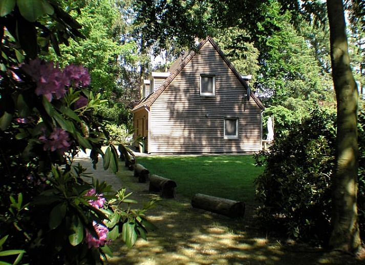 Huisje in Luyksgestel vakantiehuis in de groene natuur van Kempen, Noord Brabant.