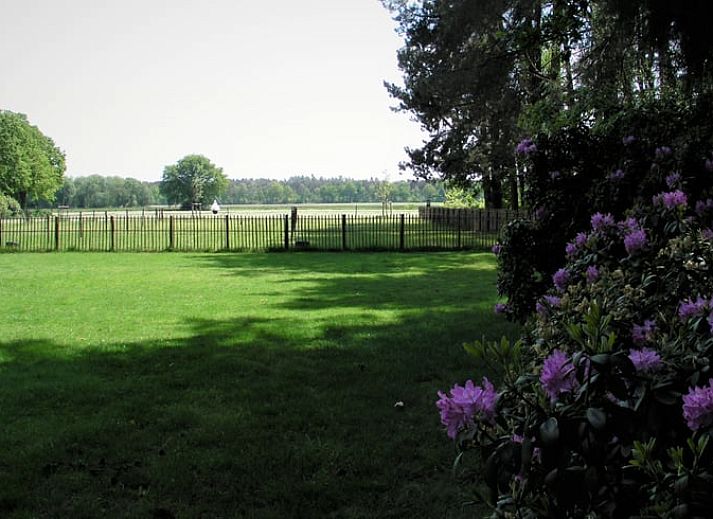 Terras van Huisje in Luyksgestel, vakantieaccommodatie in Noord Brabant.