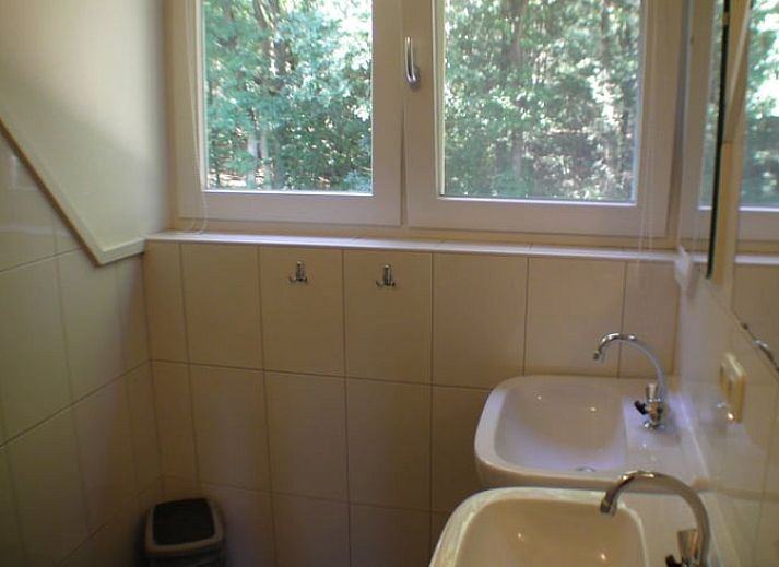 Ruime tuin van vakantiehuis Huisje in Luyksgestel, Noord Brabant.