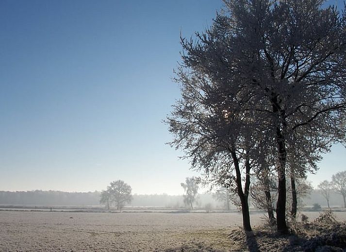 Ruime tuin van vakantiehuis Huisje in Luyksgestel, Noord Brabant.