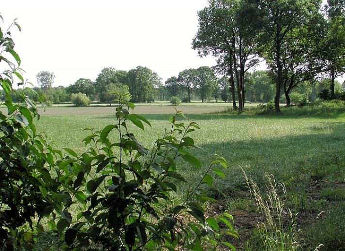 Gezellige omgeving van Huisje in Luyksgestel, vakantiehuis in Kempen.