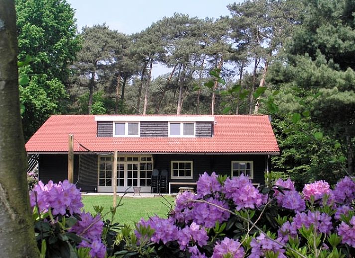 Verblijf 412710 - Vakantiewoning Kempen - Vakantiehuis in Luyksgestel