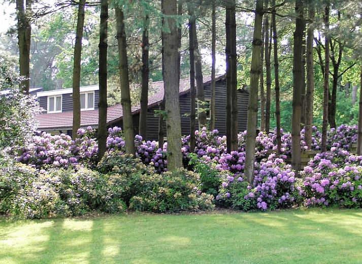 Verblijf 412710 - Vakantiewoning Kempen - Vakantiehuis in Luyksgestel