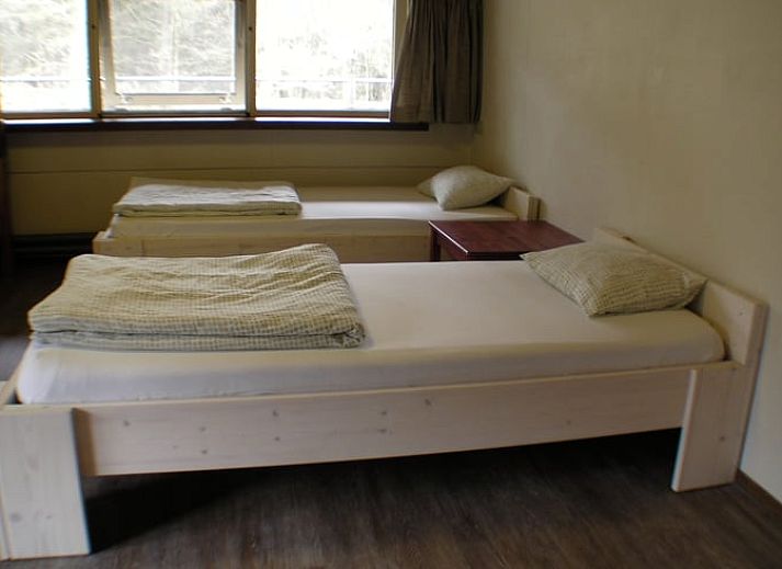 Verblijf 412710 - Vakantiewoning Kempen - Vakantiehuis in Luyksgestel