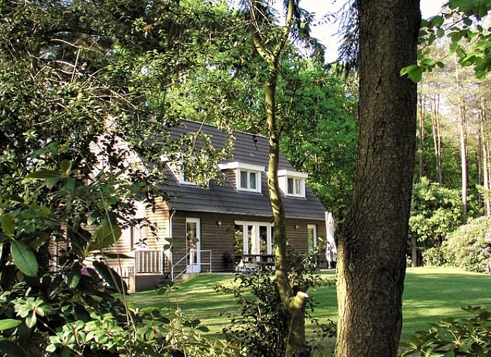 Vakantiehuisje in Luyksgestel omgeven door groene natuur in de Kempen, Noord Brabant.