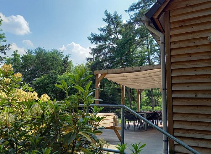 Vakantiehuisje in Luyksgestel omgeven door groene natuur in de Kempen, Noord Brabant.