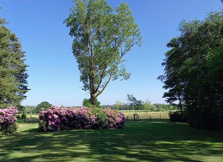 Vakantiehuisje in Luyksgestel omgeven door groene natuur in de Kempen, Noord Brabant.