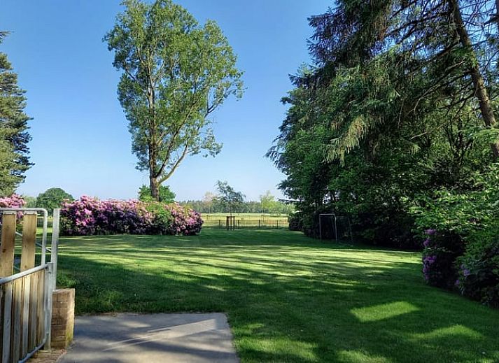 Terras met zitgelegenheid bij Vakantiehuisje in Luyksgestel, perfect voor buiten dineren.