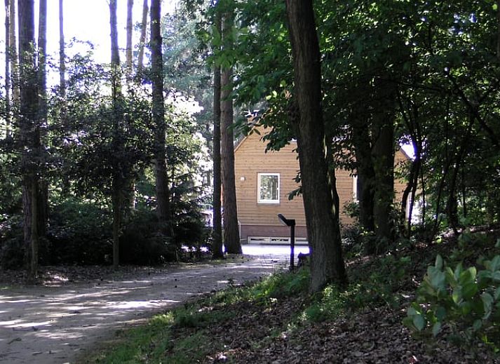 Terras met zitgelegenheid bij Vakantiehuisje in Luyksgestel, perfect voor buiten dineren.