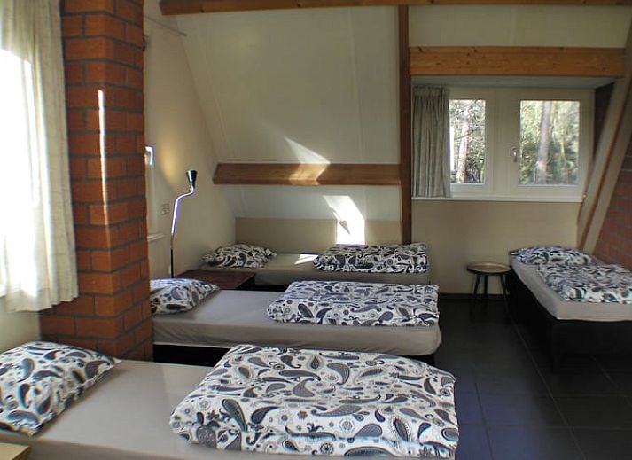 Ruime tuin bij Vakantiehuisje in Luyksgestel met kleurrijke bloemen en een prachtig uitzicht.