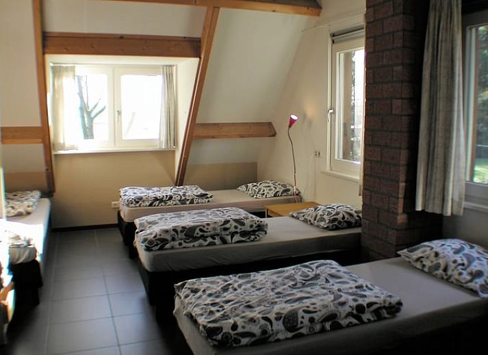 Ruime tuin bij Vakantiehuisje in Luyksgestel met kleurrijke bloemen en een prachtig uitzicht.