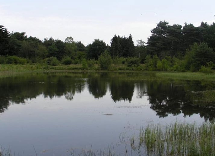 Achterzijde van Vakantiehuisje in Luyksgestel, een charmant vakantiehuis in Noord Brabant.