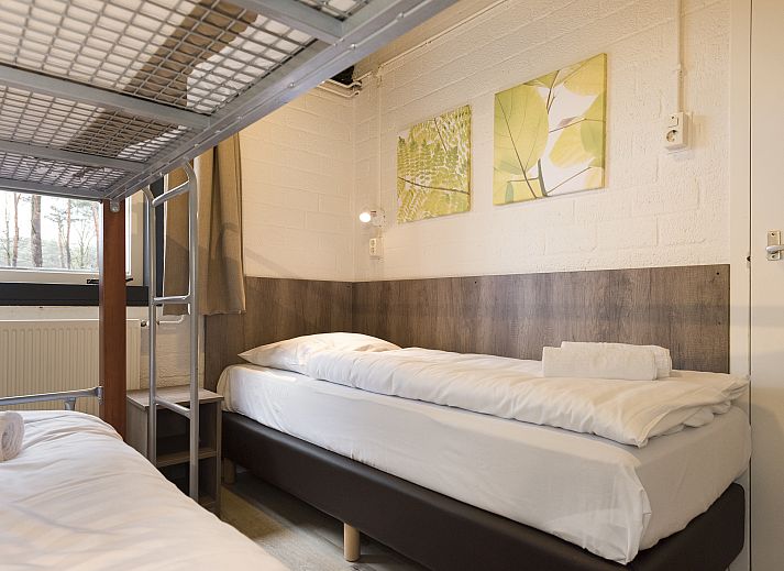 Blick auf die Terrasse vom Wohnzimmer des 5-Personen-Bungalows 5B1 von Het Vennenbos in Hapert, umgeben von Natur.