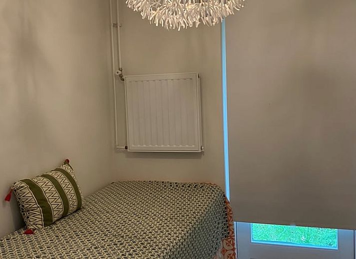 Zonnige voorzijde van Vakantiehuisje in Oost- west en Middelbeers, in de groene omgeving van Middelbeers, Noord Brabant.