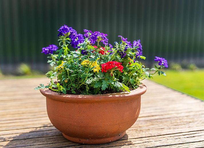 Esszimmer mit Waldwanddruck in Achter de Vijf Linden, Knegsel, Ferienhaus in Nordbrabant.