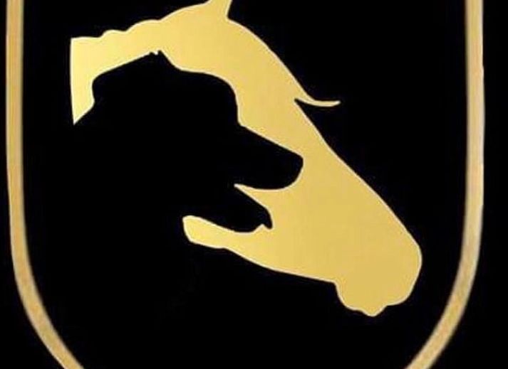 Ferienhaus in Riethoven mit grossem Garten in den Kempen, Nordbrabant.