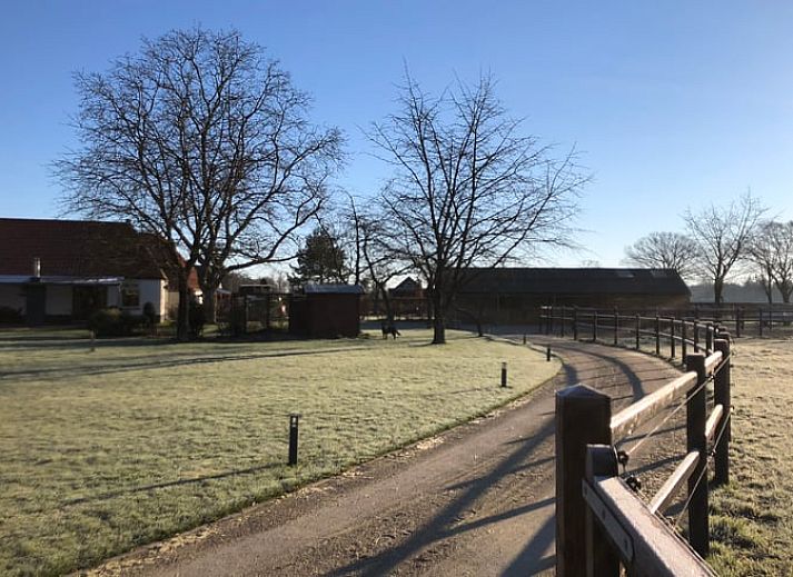 Ferienhaus in Riethoven mit grossem Garten in den Kempen, Nordbrabant.