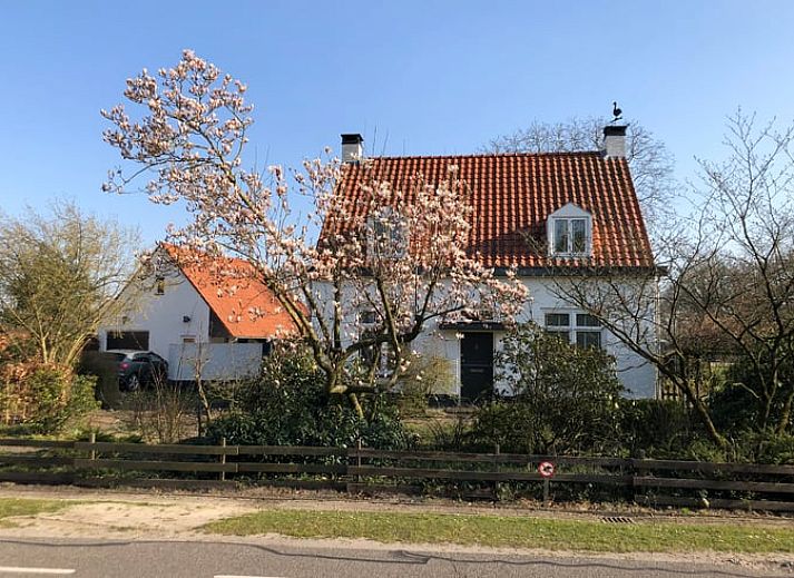 Gemuetliche Terrasse im Ferienhaus in Riethoven, Kempen, Nordbrabant.