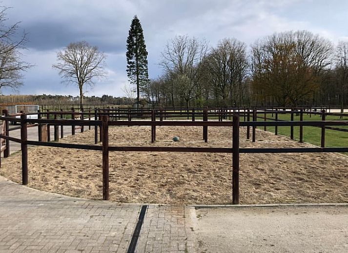 Einzigartiges Logo des Ferienhauses in Riethoven, Kempen, Nordbrabant.