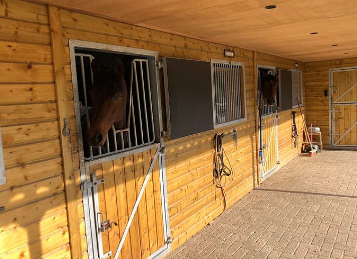 Einzigartiges Logo des Ferienhauses in Riethoven, Kempen, Nordbrabant.