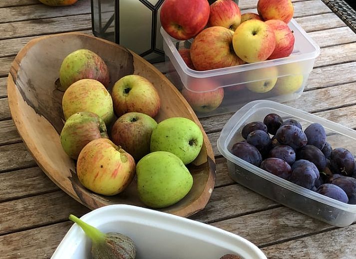 Moderne Staelle im Ferienhaus in Riethoven, Kempen, Nordbrabant.