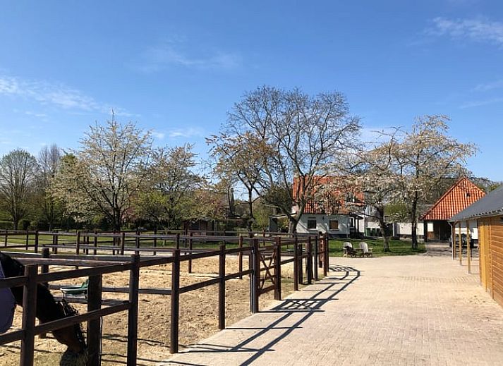 Moderne Staelle im Ferienhaus in Riethoven, Kempen, Nordbrabant.
