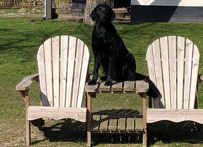 Moderne Staelle im Ferienhaus in Riethoven, Kempen, Nordbrabant.