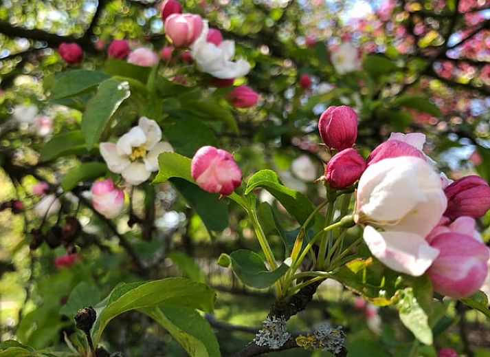 Moderne Staelle im Ferienhaus in Riethoven, Kempen, Nordbrabant.