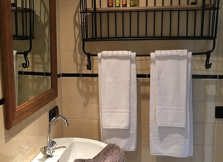 Enjoy the charming terrace of Holiday Home in Oisterwijk, located in the heart of Brabant, surrounded by nature and tranquility.