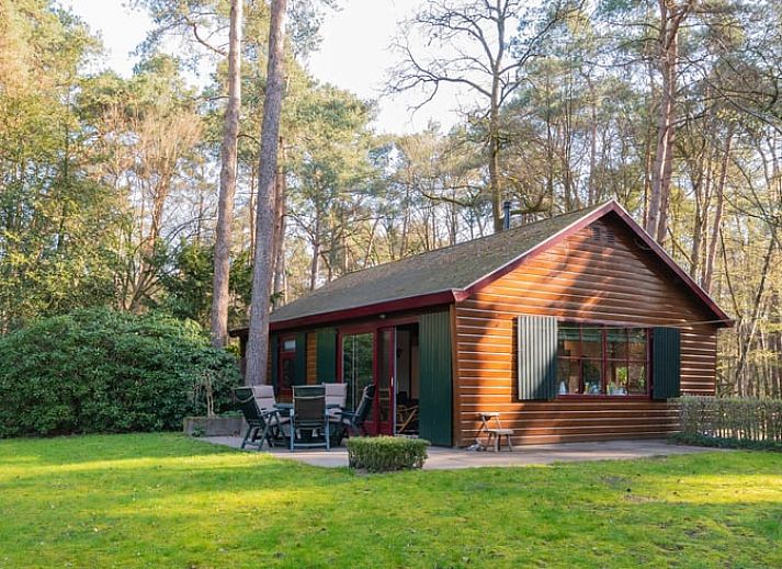 Verblijf 420220 • Vakantiewoning Hart van Brabant • Natuurhuisje in Oisterwijk