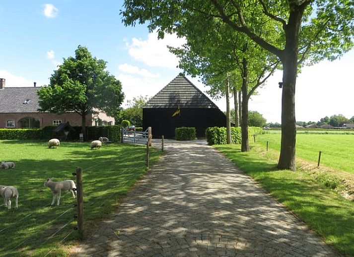 Guest house 420223 • Holiday property Hart van Brabant • Huisje in Oisterwijk 