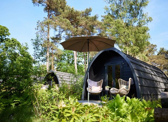 Geniet van de natuur op het terras van Huisje in Oisterwijk, een vakantiehuis in het Hart van Brabant, Noord Brabant.