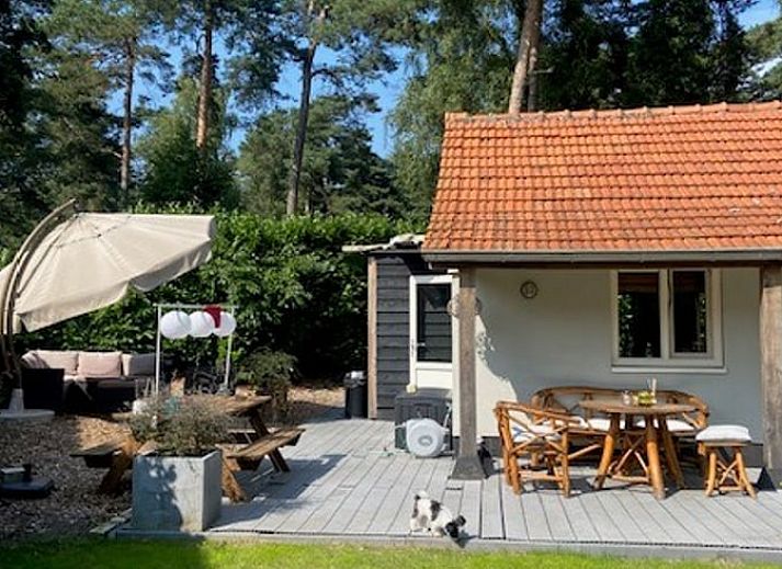 Gezellig terras bij Vakantiehuisje in Oisterwijk, Noord Brabant, ideaal voor ontspannen momenten in de natuur.
