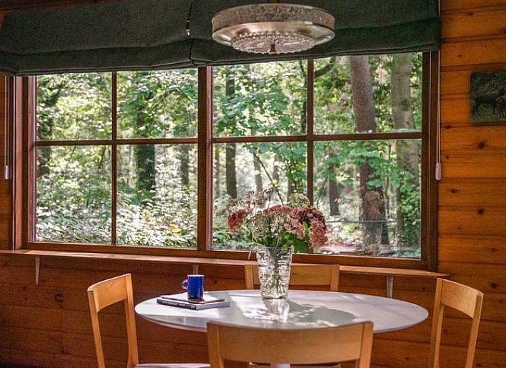 Guest house 420229 • Holiday property Hart van Brabant • Huisje in Oisterwijk