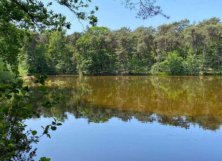 Ferienhaus in Oisterwijk, im Herzen von Brabant gelegen, umgeben von Natur und Blumen, ideal fuer einen erholsamen Aufenthalt.