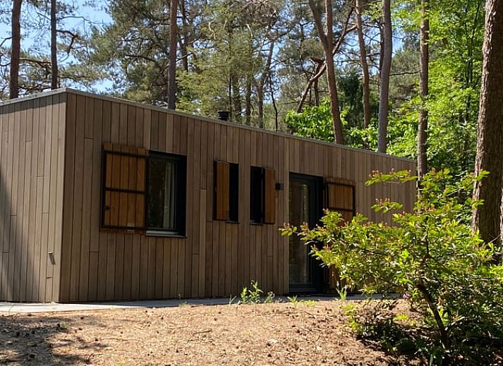 Ferienhaus in Oisterwijk, im Herzen von Brabant gelegen, umgeben von Natur und Blumen, ideal fuer einen erholsamen Aufenthalt.
