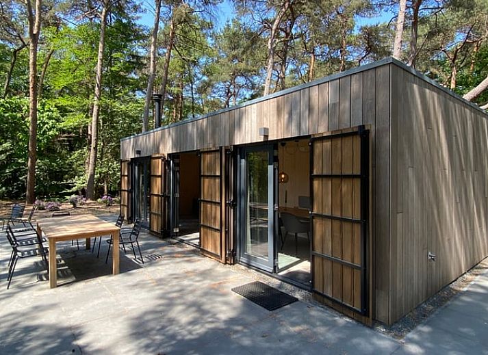 Beruhigender Blick auf den See bei Ferienhaus in Oisterwijk, umgeben von gruenen Waeldern im Herzen von Brabant, Nordbrabant.