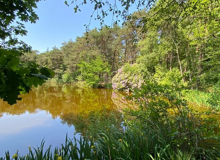Das Ferienhaus in Oisterwijk, im Herzen von Brabant gelegen, bietet einen wunderschoenen Blick auf einen ruhigen Teich und die umliegende Natur.