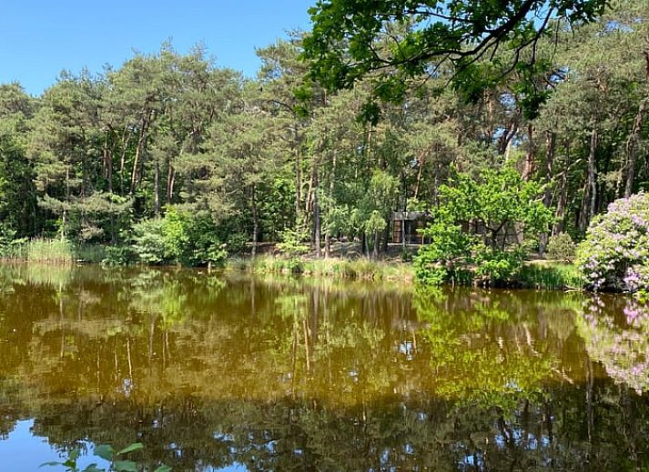 Das Ferienhaus in Oisterwijk, im Herzen von Brabant gelegen, bietet einen wunderschoenen Blick auf einen ruhigen Teich und die umliegende Natur.
