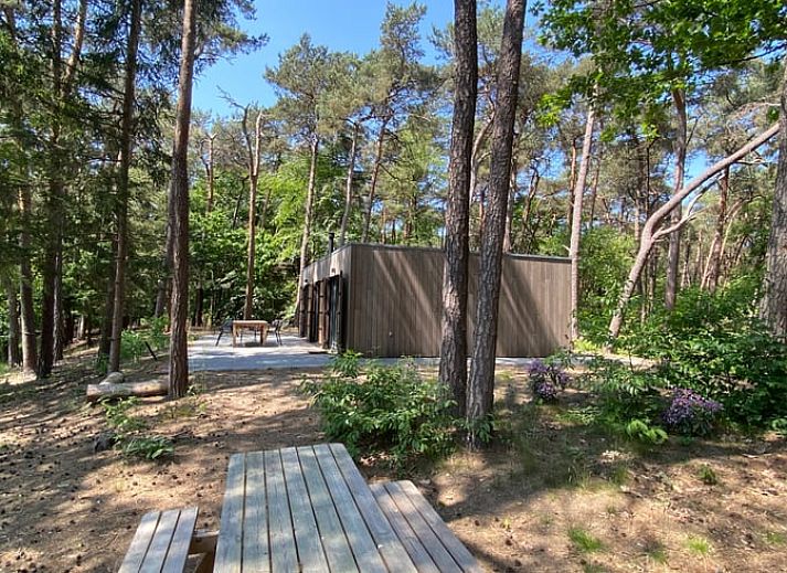 Das Ferienhaus in Oisterwijk, im Herzen von Brabant gelegen, bietet einen wunderschoenen Blick auf einen ruhigen Teich und die umliegende Natur.