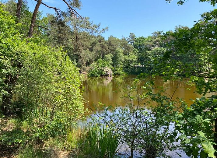 Ferienhaus in Oisterwijk, ein gemuetliches Ferienhaus inmitten der Natur im Herzen von Brabant, Nordbrabant.