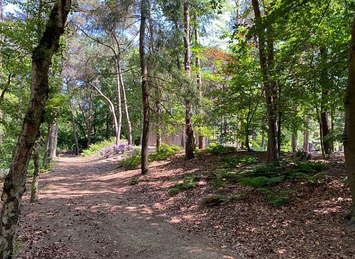 Ferienhaus in Oisterwijk, ein gemuetliches Ferienhaus inmitten der Natur im Herzen von Brabant, Nordbrabant.