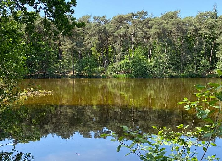 Ferienhaus in Oisterwijk, ein gemuetliches Ferienhaus inmitten der Natur im Herzen von Brabant, Nordbrabant.
