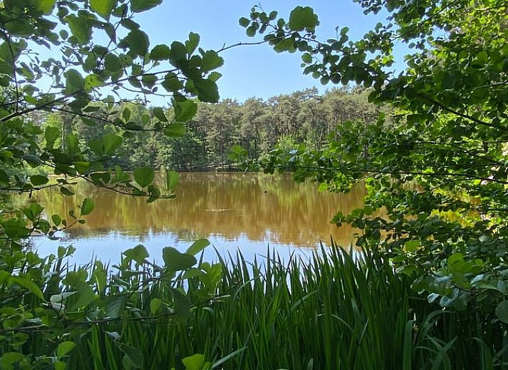 Ferienhaus in Oisterwijk, ein gemuetliches Ferienhaus inmitten der Natur im Herzen von Brabant, Nordbrabant.