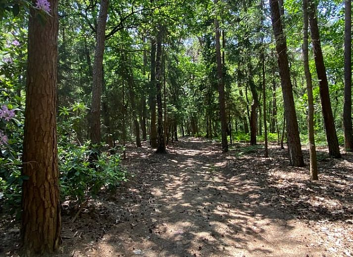 Unterkunft 420232 - Ferienhaus Hart van Brabant - Vakantiehuisje in Oisterwijk