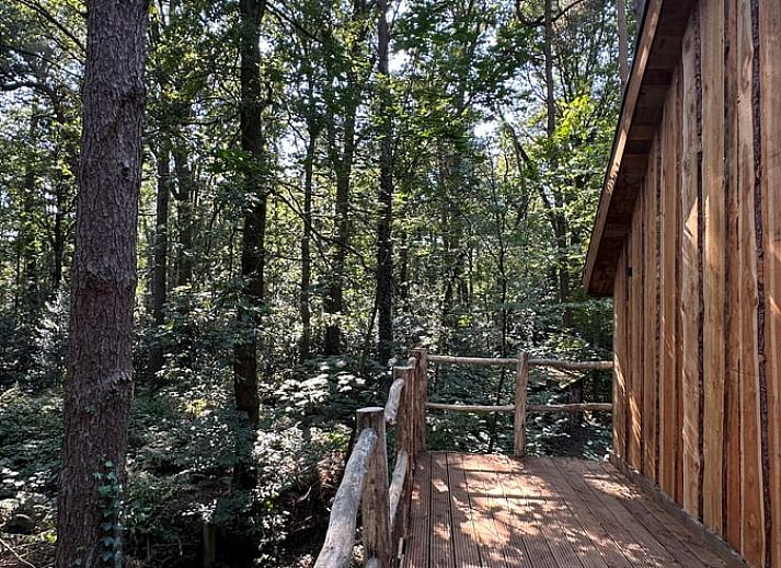 Dining area with deer chandelier in Cottage in Oisterwijk, vacation home in North Brabant.